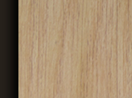 Left Margin Botton Segment